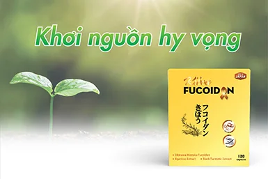 Vì sao nên dùng Kibou Fucoidan nghệ đen 3 thành phần