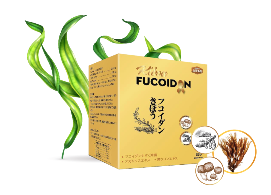 Kibou Fucoidan- Fucoidan nhập khẩu độ tinh khiết trên 85% kibou-fucoidan-an-tam-voi-nguon-goc