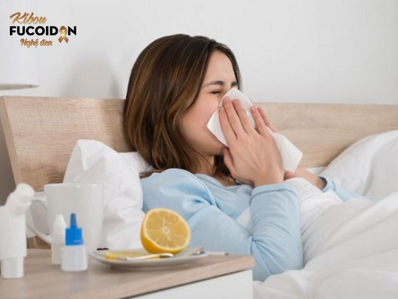 Fucoidan giúp phòng ngừa một số bệnh do virus gây ra như cúm