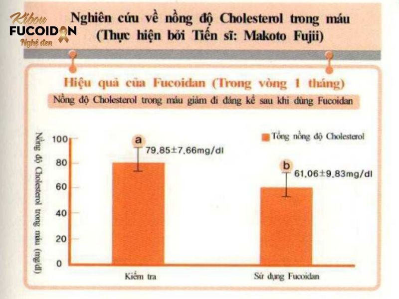 Fucoidan giúp giảm nồng độ Cholesterol máu