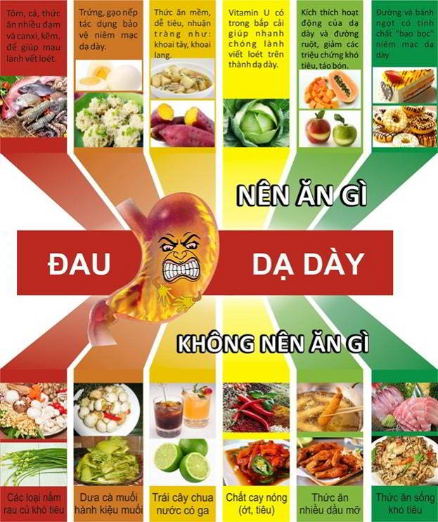 Tổng Quan Bệnh Ung Thư Dạ Dày: 10 Người Bệnh Thì 5-6 Người Mắc Phải