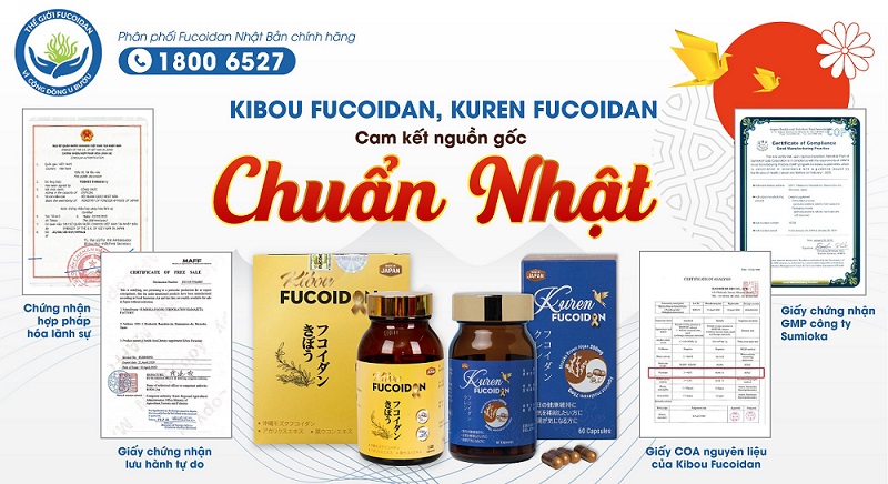Cửa hàng Thế Giới Fucoidan trở thành đơn vị duy nhất phân phối dòng sản phẩm Kibou Fucoidan Sản phẩm Kibou Fucoidan nhập khẩu chính hãng đầy đủ giấy tờ