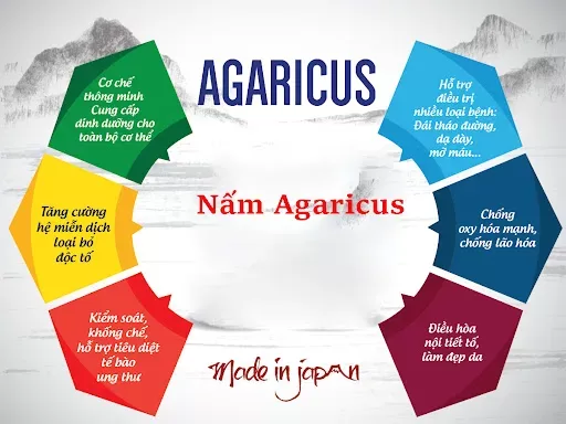 Công dụng vượt trội của nấm Agaricus đối với các bệnh nhân ung thư 