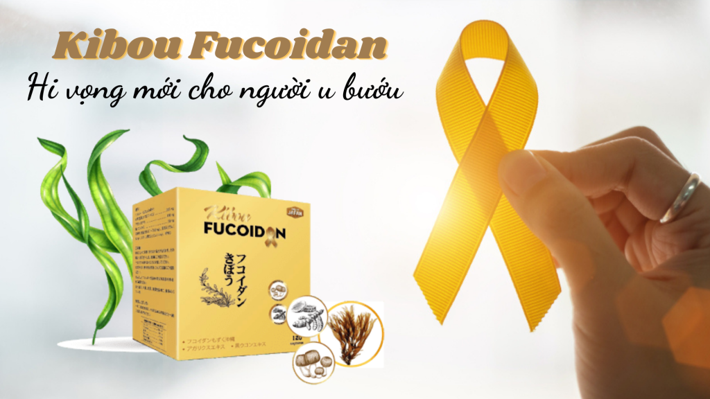 Kibou Fucoidan 3 thành phần - Hỗ trợ giảm tác dụng phụ khi điều trị ung thư buồng trứng
