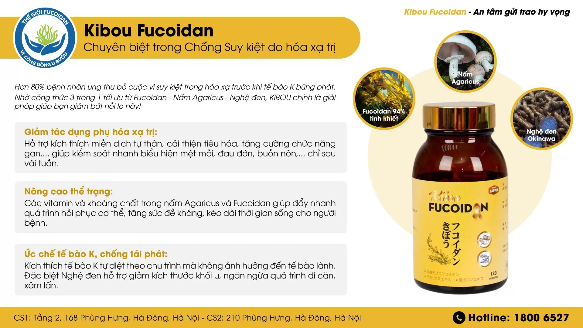 Kibou Fucoidan - Chuyên biệt sử dụng trong giai đoạn hoá xạ trị 