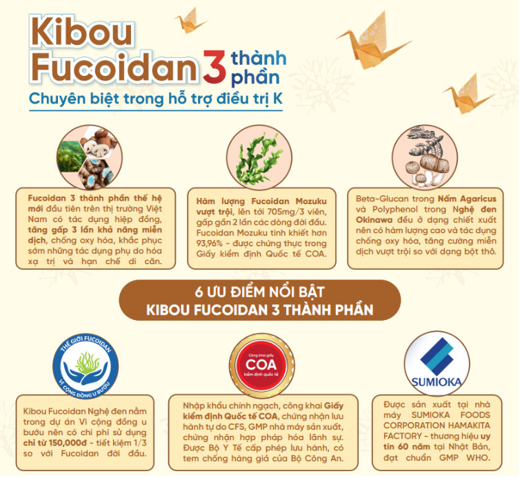 Tác dụng của Fucoidan trong hóa trị ung thư dạ dày dưới góc nhìn chuyên gia