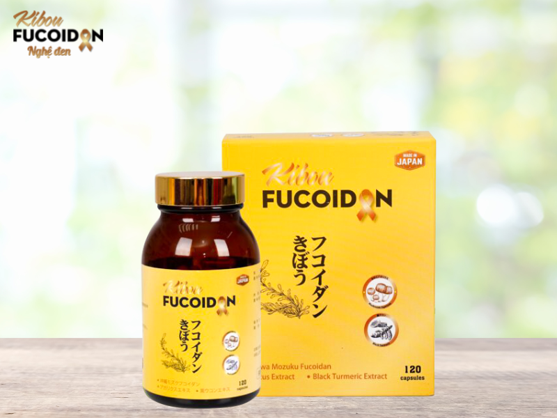 Công dụng Nấm Agaricus của nhật trong điều trị ung thư Kibou Fucoidan - sản phẩm chứa nấm Agaricus tinh khiết nhất