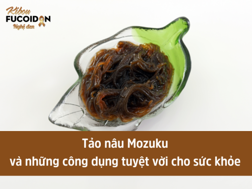 Tảo nâu Mozuku và những công dụng tuyệt vời cho sức khỏe 