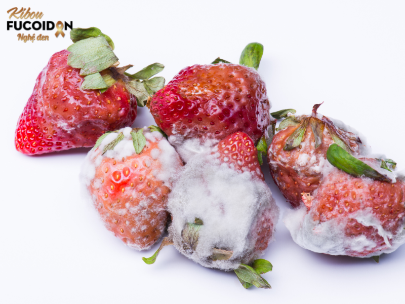 Bệnh nhân ung thư nên ăn hoa quả gì?