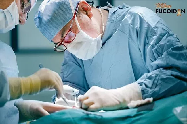 Góc nhìn chuyên gia: Có nên dùng cóc chữa ung thư không? Phẫu thuật cắt bỏ khối u