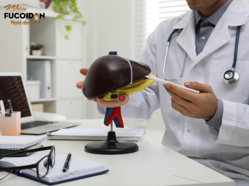 Ung thư gan giai đoạn cuối là gì? Dấu hiệu và điều trị ra sao