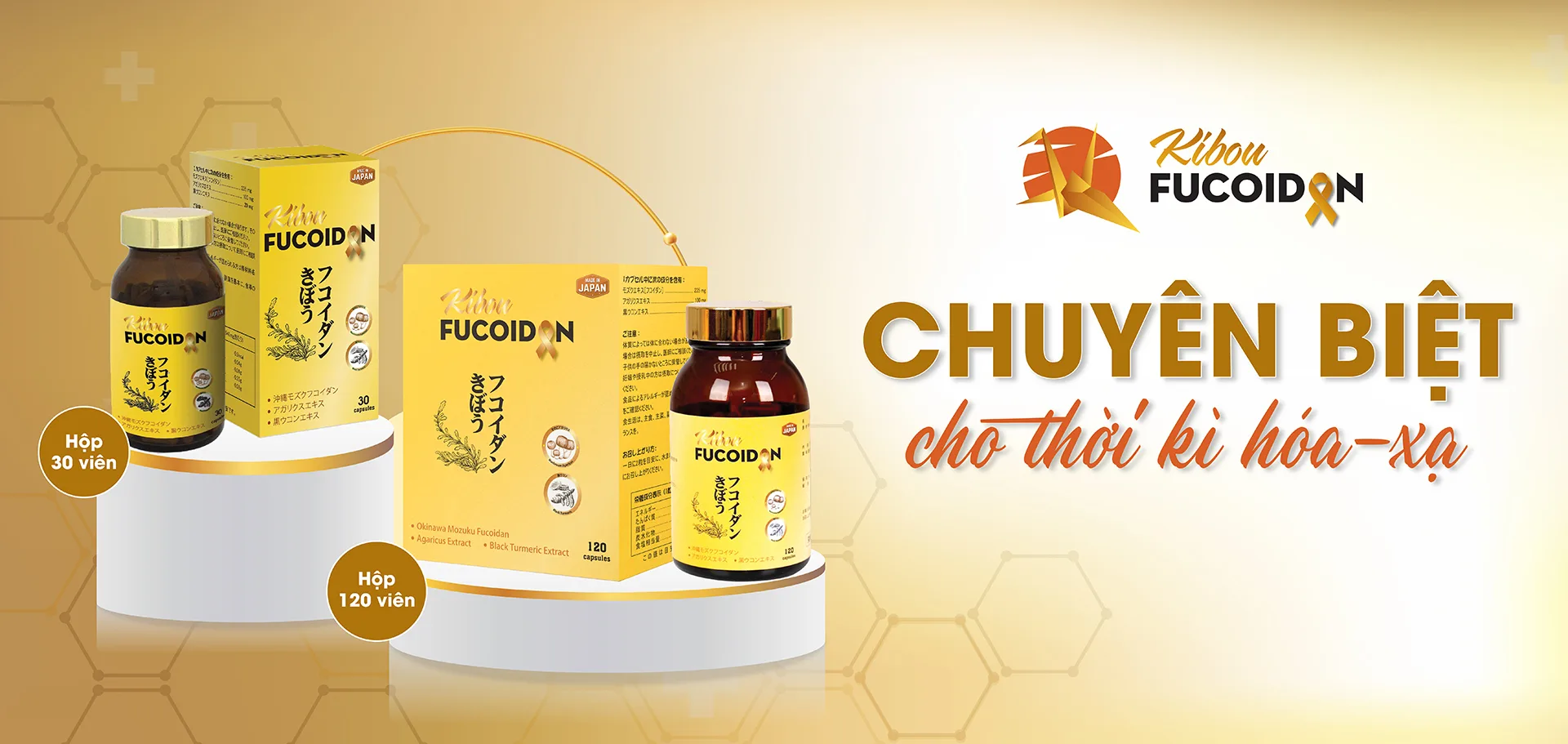 Banner 3 Kibou Fucoidan nghệ đen 3 thành phần chuyên biệt cho thời kỳ hóa xạ trị