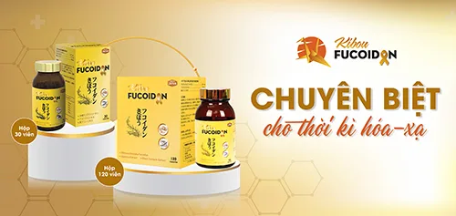 Banner 3 Kibou Fucoidan nghệ đen 3 thành phần chuyên biệt cho thời kỳ hóa xạ trị