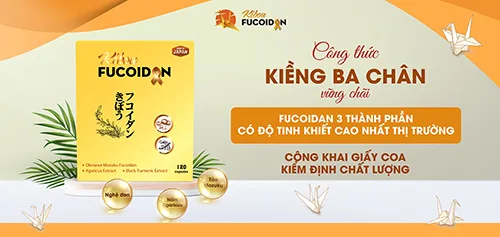 Banner mobile 2 Kibou Fucoidan nghệ đen 3 thành phần với công thức kiềng 3 chân