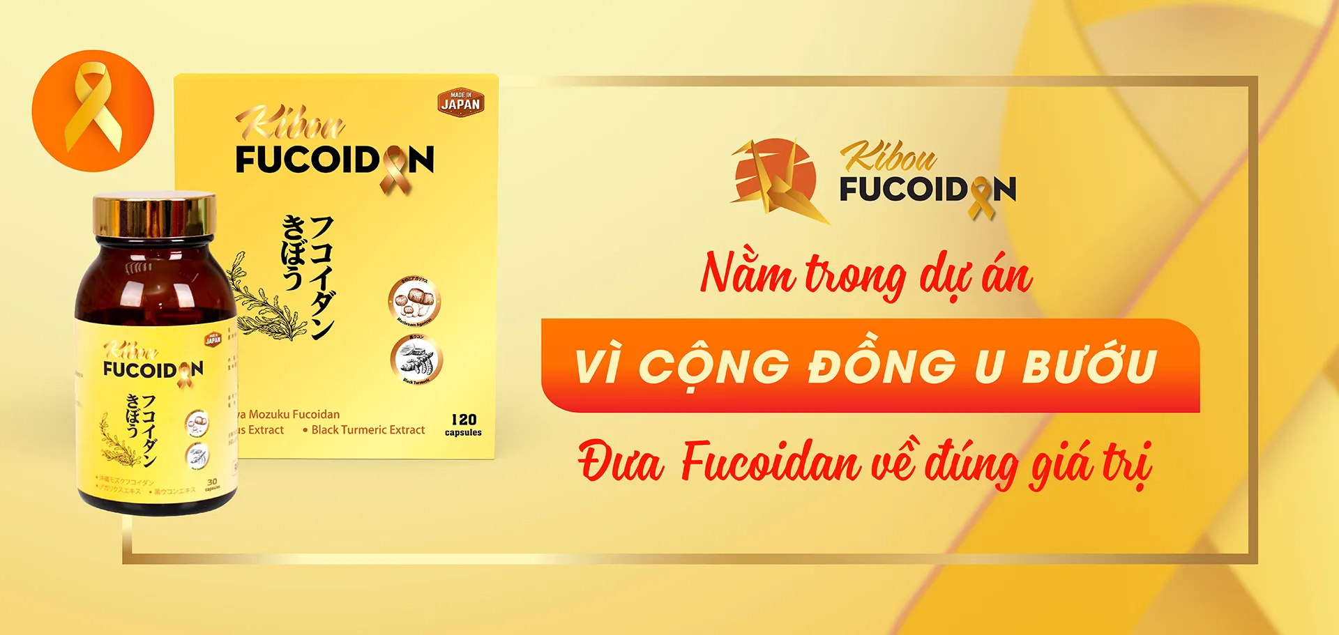 Kibou Fucoidan nghệ đen 3 thành phần vì cộng đồng u bướu
