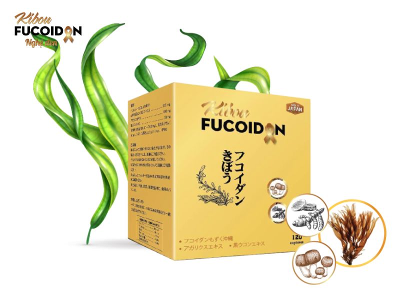 Fucoidan tinh khiết - Chiết xuất nấm Agaricus - Chiết xuất Nghệ đen Okinawa được kết hợp trong Kibou Fucoidan