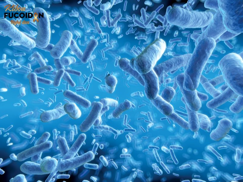 14 nguyên nhân ung thư dạ dày, xem ngay để phòng tránh. Nhiễm vi khuẩn HP - Helicobacter pylori - nguyên nhân ung thư dạ dày