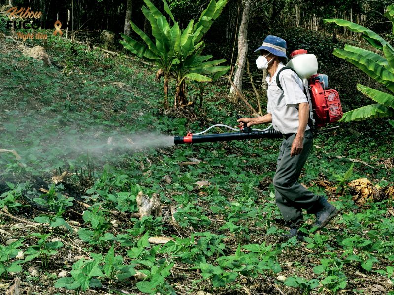 10 thực phẩm dễ gây ung thư dạ dày phổ biến nhất Chất trừ sâu như organophosphates, dioxin, DDT và glyphosate đã được xem xét là có thể gây ung thư
