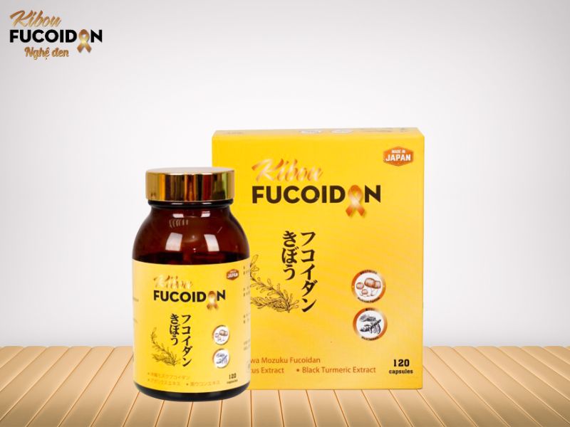 Ung thư biểu mô tế bào gan: Nguyên nhân, dấu hiệu và điều trị Fucoidan kích thích tế bào ung thư tự chết theo chu trình đồng thời ức chế hình thành mạch máu nuôi khối u