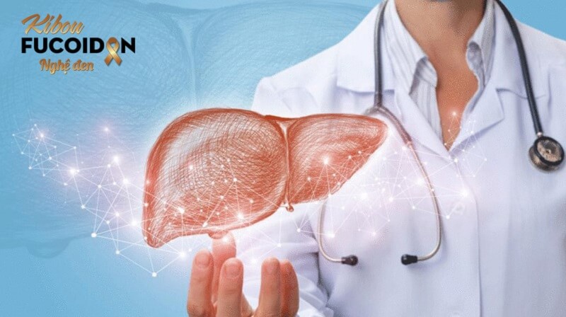 Ung thư gan giai đoạn cuối nôn ra máu: Nguyên nhân và cách xử lý Bệnh nhân ung thư gan giai đoạn cuối nôn ra máu phải làm sao?