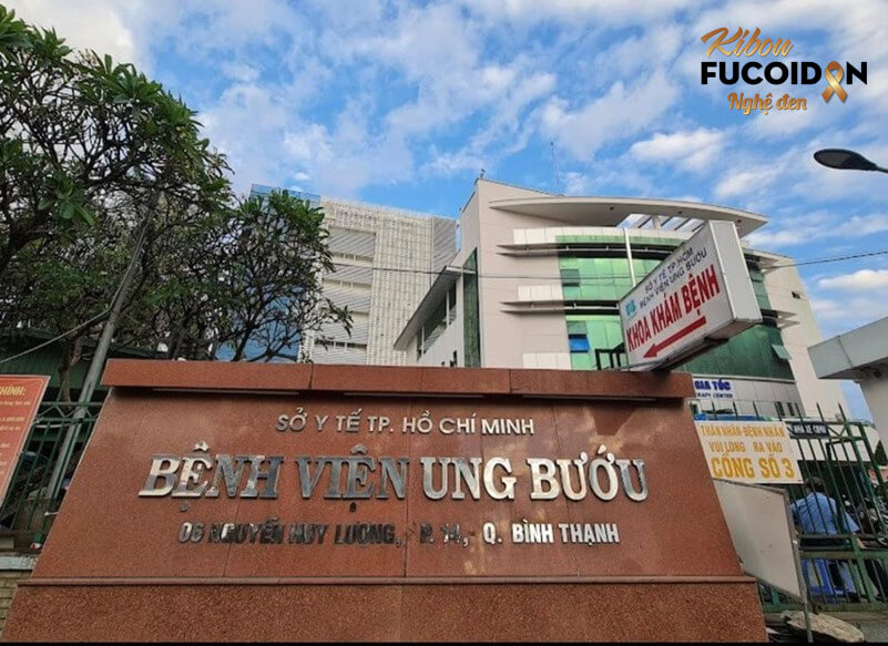 Top 10+ địa chỉ điều trị ung thư gan tốt nhất ở Việt Nam Bệnh viện Ung bướu Thành phố Hồ Chí Minh