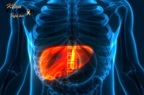 Điều trị ung thư gan ở đâu tốt nhất là băn khoăn của nhiều bệnh nhân.