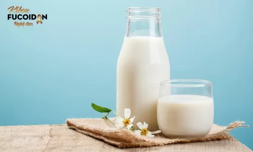 Sữa cho người ung thư gan