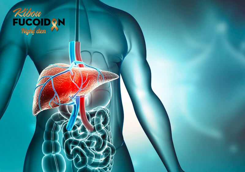 Quy trình mổ ung thư gan, các biến chứng và cách đối phó Biến chứng suy gan