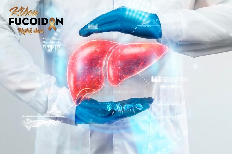 Ung thư gan tái phát: Nguyên nhân, điều trị và cách phòng ngừa Ung thư gan tái phát