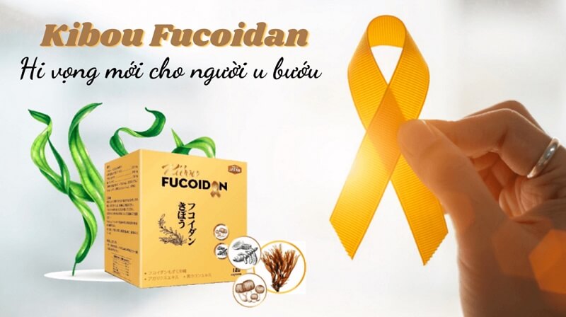 Vì sao nên dùng Kibou Fucoidan ngăn ngừa di căn? Vì sao nên dùng Kibou Fucoidan ngăn ngừa di căn?