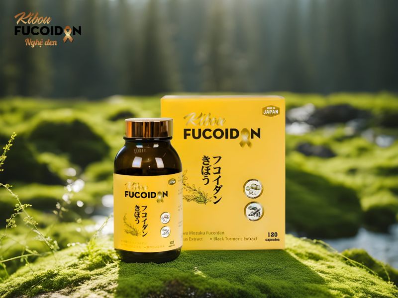 Kibou Fucoidan hỗ trợ điều trị ung thư vú giai đoạn cuối Kibou Fucoidan hỗ trợ điều trị ung thư vú giai đoạn cuối