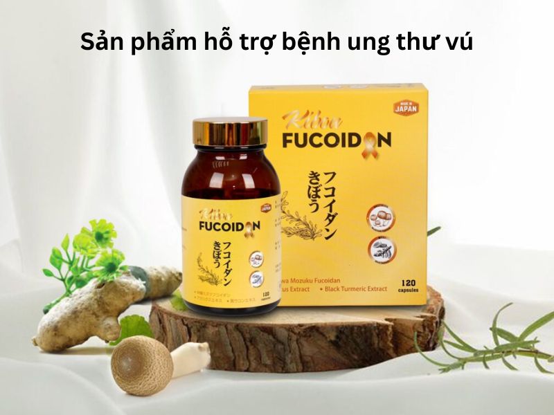 Cẩm nang thông tin về thuốc điều trị ung thư vú bạn nên biết Kibou fucoidan Nghệ đen 3 thành phần - Sản phẩm được các bác sĩ khuyên dùng cho bệnh nhân ung thư