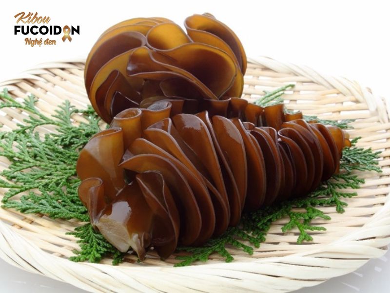 Sẽ ra sao khi các tế bào ung thư phổi di căn khắp cơ thể? Fucoidan chiết xuất từ tảo nâu có tác dụng tiêu diệt tế bào ung thư