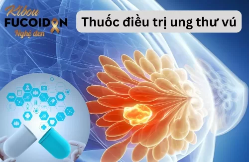 Cẩm nang thông tin về thuốc điều trị ung thư vú bạn nên biết