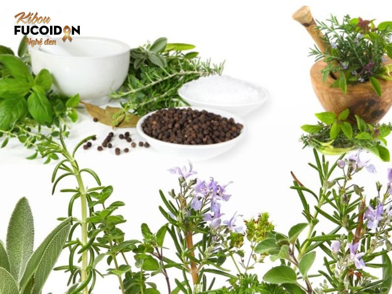Cẩm nang thông tin về thuốc điều trị ung thư vú bạn nên biết Thuốc nam điều trị ung thư vú