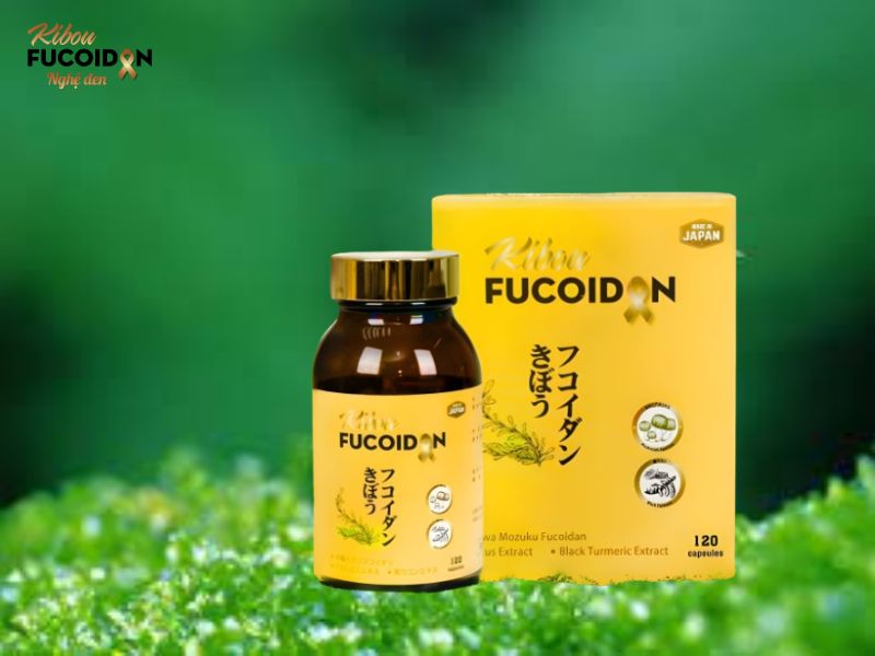 Ung thư phổi di căn gan: Dấu hiệu, tiên lượng và cách điều trị Kibou Fucoidan hỗ trợ tiêu diệt và ngăn chặn tế bào ung thư di căn