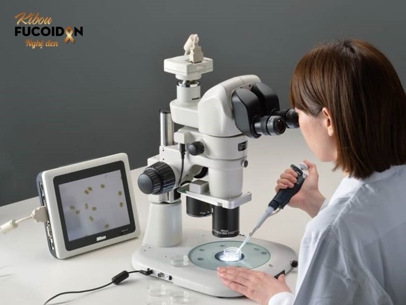 Hướng dẫn phân biệt lao phổi và ung thư phổi chính xác nhất! Nhuộm sơi đờm dưới kính hiển vi tìm vi khuẩn lao