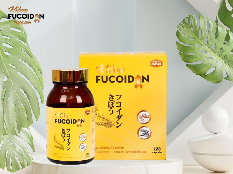 Kibou Fucoidan hiện là sản phẩm được nhiều chuyên gia khuyên dùng trong điều trị ung thư Kibou Fucoidan hiện là sản phẩm được nhiều chuyên gia khuyên dùng trong điều trị ung thư