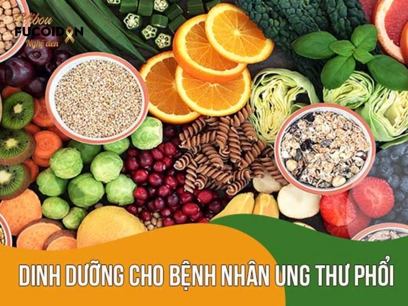 Từ A đến Z về Ung thư phổi không tế bào nhỏ Bệnh nhân ung thư phổi không tế bào nhỏ cần được bổ sung đầy đủ các dưỡng chất