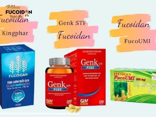 Nên lựa chọn sản phẩm Fucoidan Việt Nam nào?