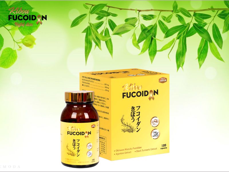 5 điều quan trọng về xạ trị ung thư phổi, bạn cần nhớ! Sản phẩm Kibou Fucoidan