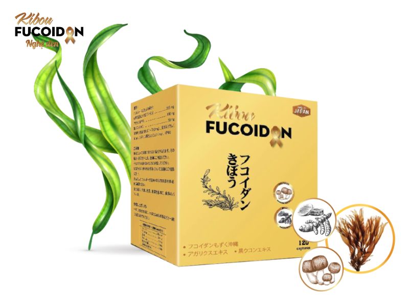Fucoidan đỏ là gì? Nên lựa chọn sản phẩm fucoidan đỏ nào là tốt nhất? Kibou Fucoidan Nghệ đen 3 thành phần