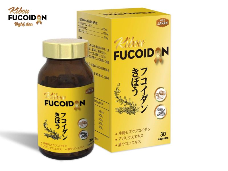 Nên chọn loại Fucoidan Nhật Bản nào tốt nhất? Kibou fucoidan