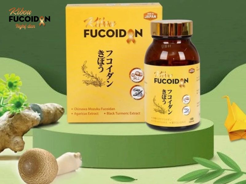 Nên chọn loại Fucoidan Nhật Bản nào tốt nhất? Kibou Fucoidan là sản phẩm vượt trội nhất trong dòng sản phẩm Fucoidan Nhật