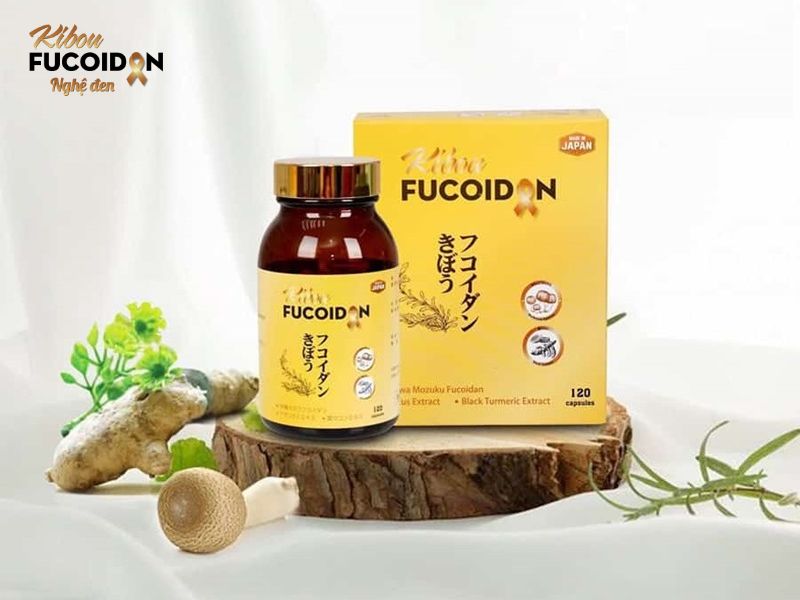 Kibou Fucoidan hay Fucoidan Nghệ đen là sản phẩm dành cho bệnh nhân ung thư