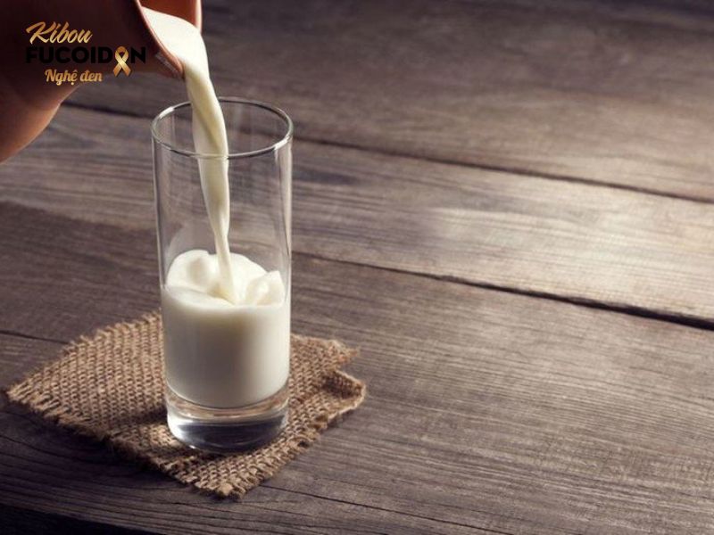 Có nên mua sữa Fucoidan không? Sữa fucoidan là những sản phẩm sữa mà trong thành phần của nó có chứa hoạt chất Fucoidan