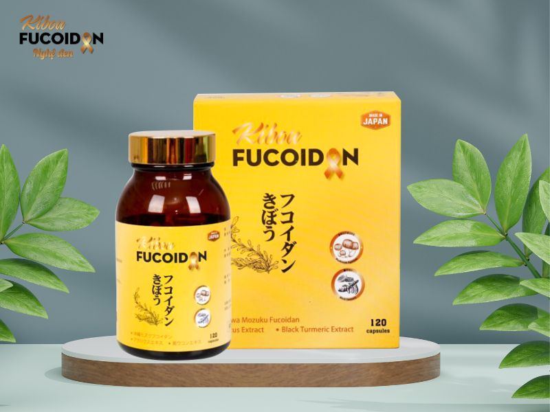 Thực phẩm hỗ trợ điều trị K phổi Kibou Fucoidan 