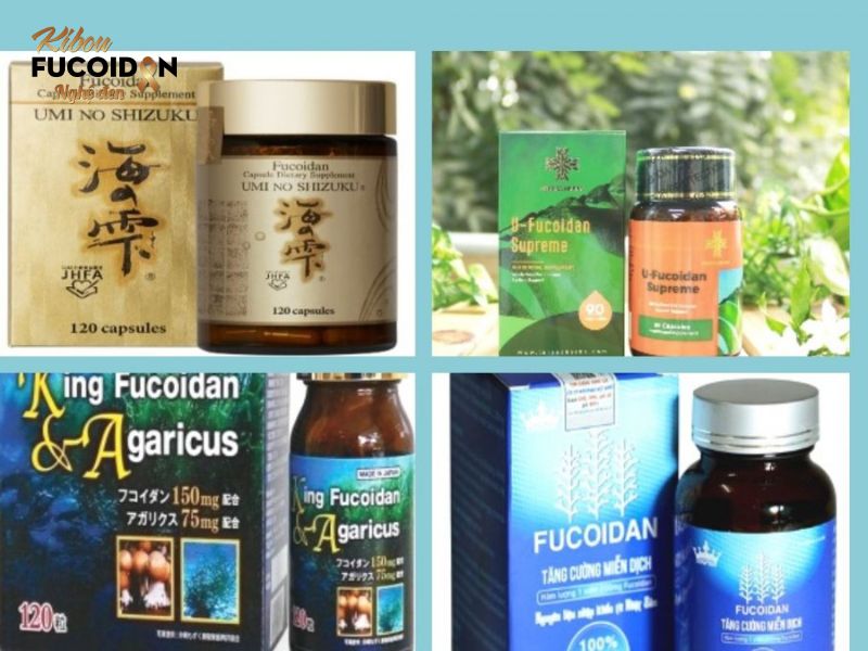 Nên chọn loại Fucoidan Nhật Bản nào tốt nhất? Nên chọn loại Fucoidan Nhật Bản nào?