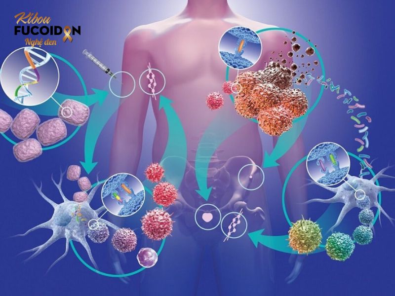 Nghệ đen có khả năng góp phần hạn chế sự di căn của tế bào ung thư