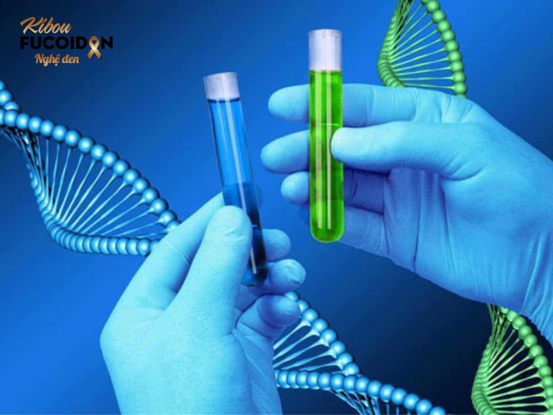 Tổng quan liệu pháp điều trị đích trong ung thư đại tràng Xét nghiệm đột biến gen giúp bác sĩ đưa ra lựa chọn thuốc điều trị đích phù hợp
